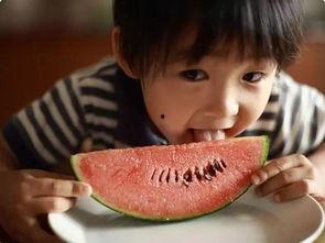 柯基吃贝贝瓜好吗视频,萌态十足！