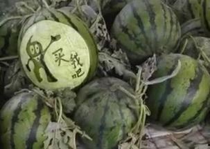 韩城吃瓜闫如玉视频,闫如玉视频引发网友热议