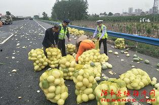 泗水吃瓜群众爆料视频,揭秘事件真相