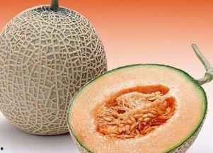 河北人吃哈密瓜好吗视频,美味体验分享