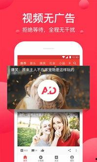 吃瓜录音文案素材视频,一场视觉与听觉的狂欢盛宴