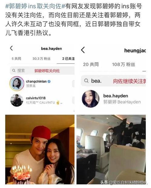 带你吃大瓜视频,带你揭秘“带你吃大瓜”视频背后的热门话题与趣味瞬间  第3张