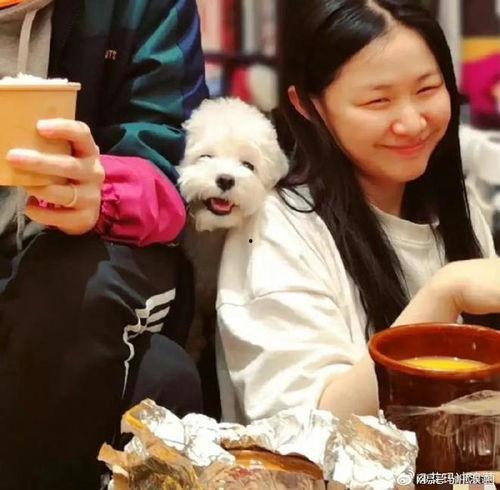 吃瓜视频头像图片男,揭秘吃瓜视频帅气男生头像背后的故事