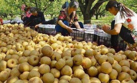 砀山最新吃瓜爆料视频曝光,视频曝光惊人内幕