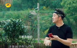 吃瓜吐槽事件真相视频,真相视频背后的惊人内幕  第3张