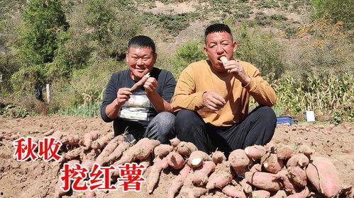 农村兄弟吃土瓜视频全集,欢乐时光尽收眼底