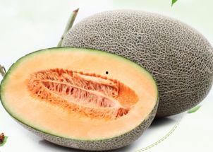 吃哈密瓜大哭视频大全,视频大全记录感人瞬间