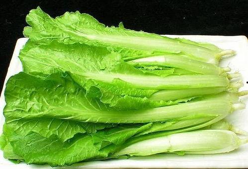 美食吃瓜小白菜视频大全,视频大全带你领略美味瞬间  第2张