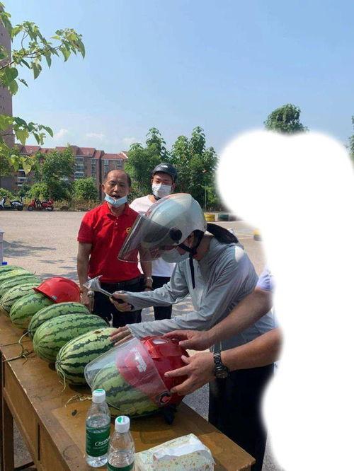 沾化吃瓜事件视频最新,一场引发热议的网络风波