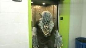 带你吃瓜搞笑视频三国版,带你领略搞笑版“吃瓜”风云