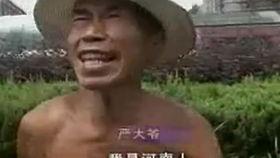 临安吃瓜事件视频播放全集,视频全集揭秘惊人真相