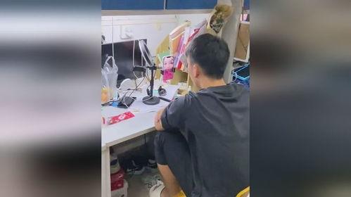 吃瓜加油男孩视频,揭秘网络红人的魅力与争议