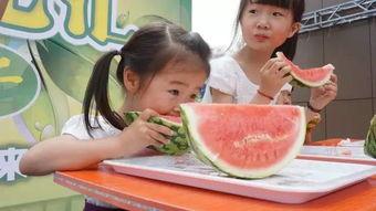 吃瓜加油男孩视频,揭秘网络红人的魅力与争议