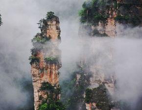 张家界吃瓜青年事件视频,网络热议的街头冲突瞬间