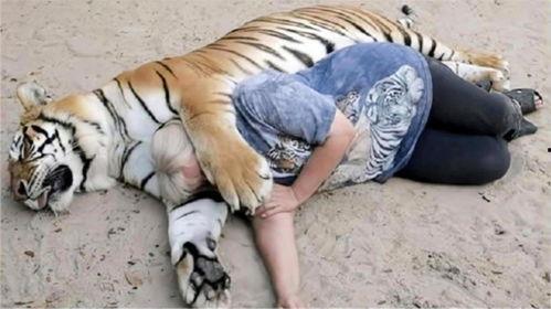 抓地虎吃瓜视频大全下载,趣味横生的搞笑瞬间大集合