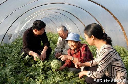 美国中国人吃瓜视频大全,趣味横生的日常生活剪影