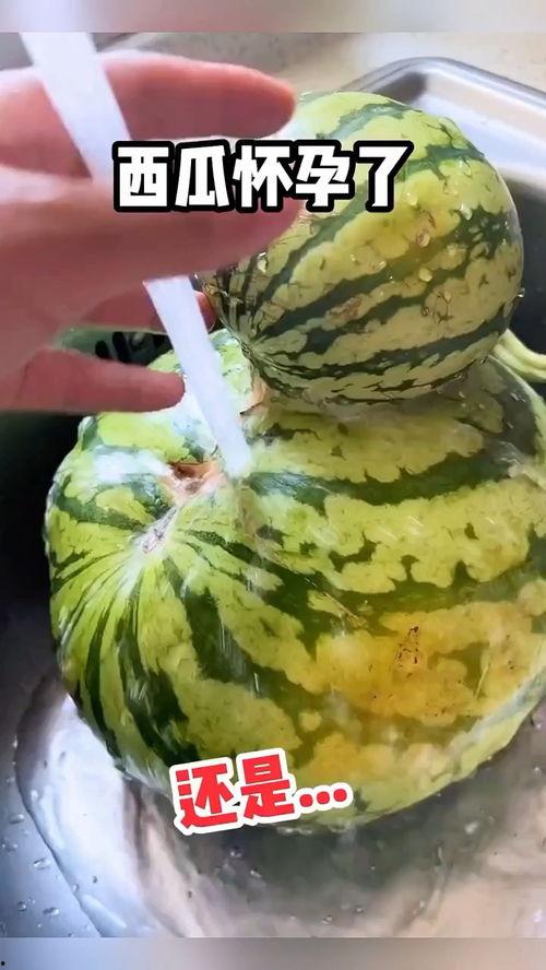 搜索最搞笑的吃瓜视频,笑料横生！年度最搞笑吃瓜视频大盘点