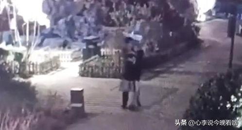 烟台吃瓜最新事件视频曝光,视频曝光揭示惊人内幕