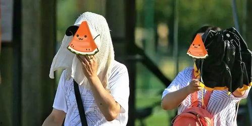 实力吃瓜视频全集,揭秘全网热门视频背后的真相与笑料