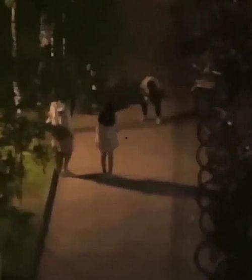 你的初恋老王吃瓜视频,揭秘校园瓜王背后的甜蜜故事