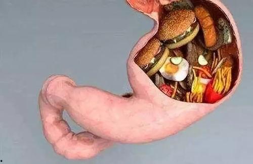 女的吃内脏吃瓜好吗视频,揭秘女性食用内脏的饮食误区与真相