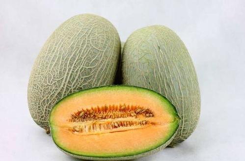 长牙吃哈密瓜视频,萌态十足引网友热议