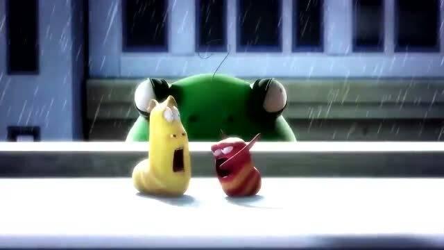 昆虫吃瓜的视频,昆虫与瓜果的奇妙互动