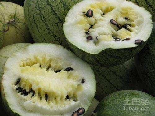 籽瓜能不能熬汤吃呀视频,家常美味新尝试