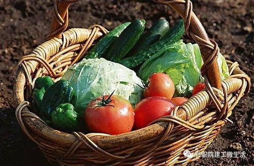 吃瓜蔬菜棒蘸酱视频,吃瓜群众的美食新宠