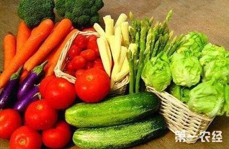 吃瓜网菜网红视频,揭秘热门美食背后的制作秘诀